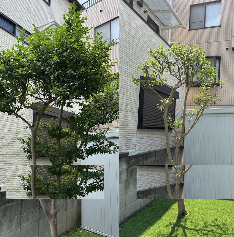 施工事例2